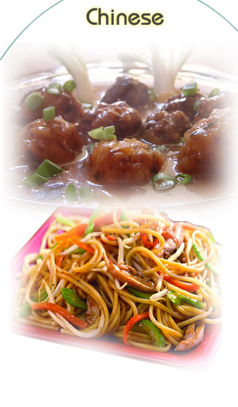 International Cuisine, Chinese food caterers, Food Catering Service rajasthan, Best Chinese menu india,Traditional Indian Cuisine, Caterers India, Caterers Menu in Jaipur Rajasthan India.