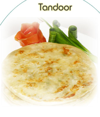 Catering menu jaipur rajasthan india, indian Plain Naan, Stuffed Naan, Paneer Naan, Family Naan, Garlic Naan, Laccha Paratha India, Indian Party Catering Services,Best Catering Jaipur,India.