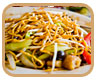 J.Oberoi Caterers Menu, catering menu india,Traditional Indian Cuisine, chinese food caterers, Rajasthani food caterers india.